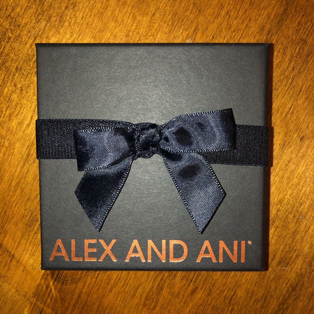 Alex and Ani Silver Newport Bangle